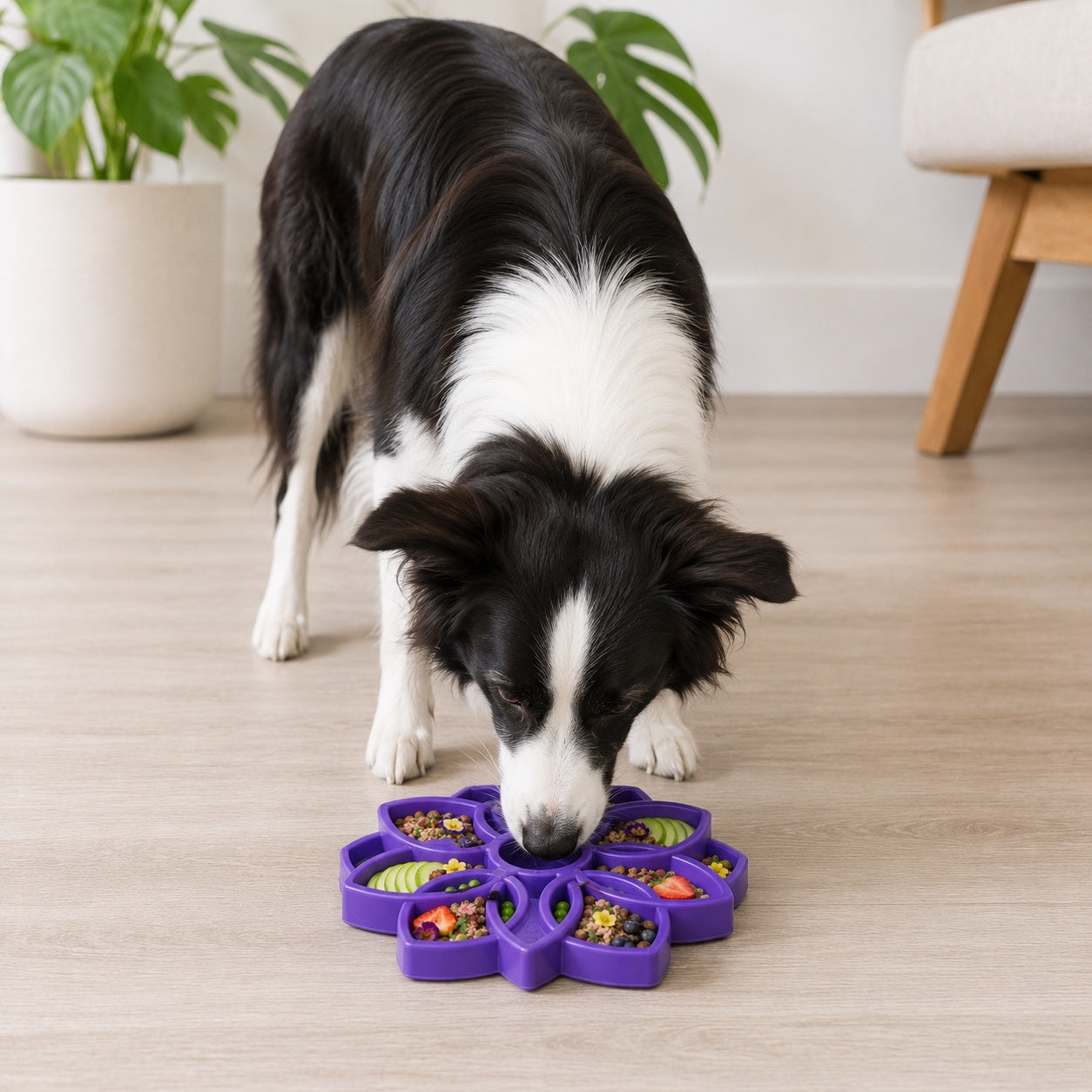 Southlake Paws Mandala eTray Shallow Slow Feeder Dog Bowl in purple, designed for enrichment, with a dog eating from it.