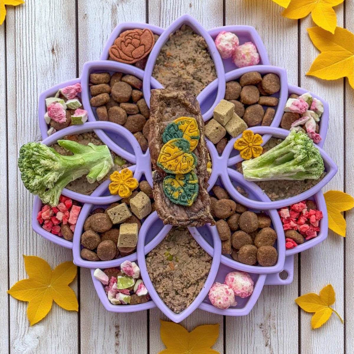 Mandala Softie eTray Shallow Slow Feeder Dog Bowl with Suction Cups | USA Made