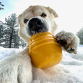 Load image into Gallery viewer, A dog playfully holds a yellow Honey Pot Dog eCup Treat Dispenser in the snow, showcasing its durable rubber design.
