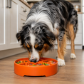 Load image into Gallery viewer, Southlake Paws Great Outdoors eBowl in orange, designed as a slow feeder, with a dog eating from it on a wooden floor.
