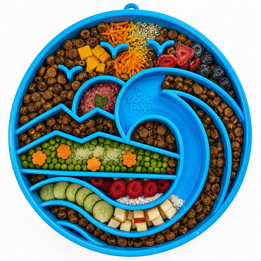 Shallow slow feeder dog bowl with wave design, featuring compartments for kibble, fruits, and veggies in vibrant colors.
