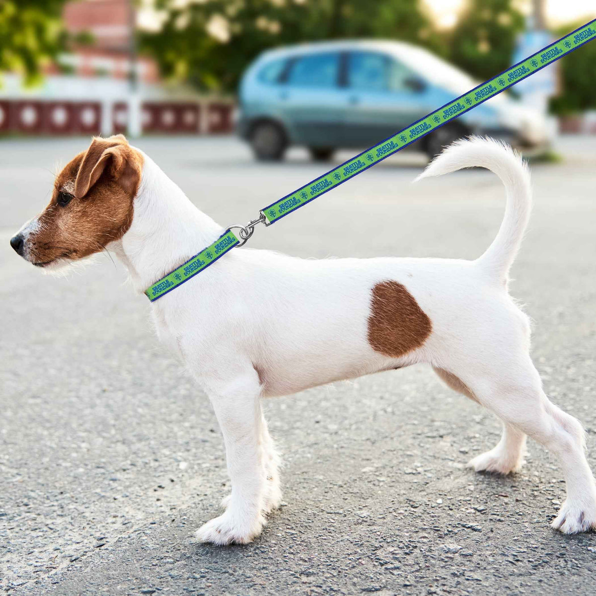 Seattle Sounders FC Satin Ribbon Leash