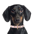 Load image into Gallery viewer, Leather Dog Collar in Pink - Stud Star, Made in Italy
