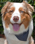 Load image into Gallery viewer, CLASSIC BANDANA - Southlake Paws

