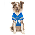 Load image into Gallery viewer, NFL Detroit Lions Amon-Ra St. Brown Striped Mesh Dog Jersey
