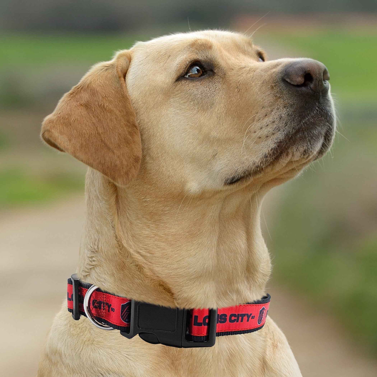 St. Louis SC Satin Collar