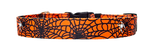 Spider Web Orange Dog Collar