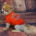 Load image into Gallery viewer, Syracuse Orange Dog Shirt - College Pet Fan Apparel
