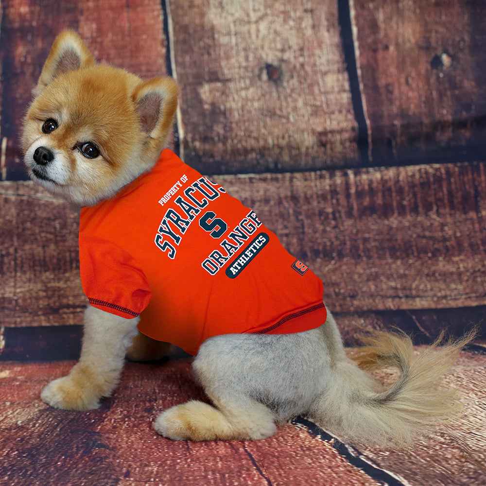 Syracuse Orange Dog Shirt - College Pet Fan Apparel