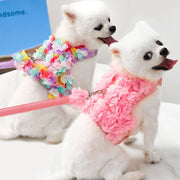 Dainty Flower Dog Harness & Leash Set