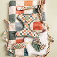 Load image into Gallery viewer, Sage & Cider Dog Blanket
