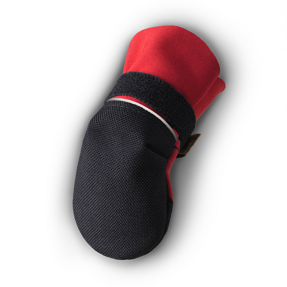 Saltsox 2025 / Ice Fire Red - Southlake Paws