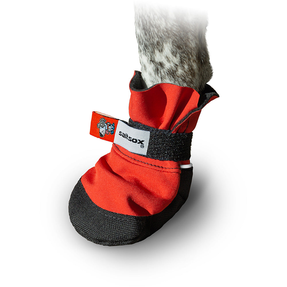 Saltsox 2025 / Ice Fire Red - Southlake Paws