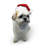 Santa Hat