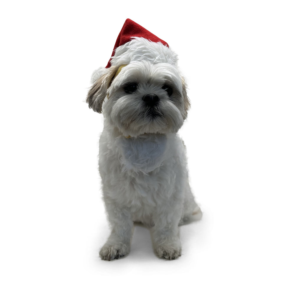 Santa Hat