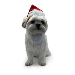 Santa Hat