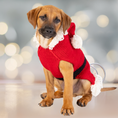 Load image into Gallery viewer, Santa Dog Sweater
