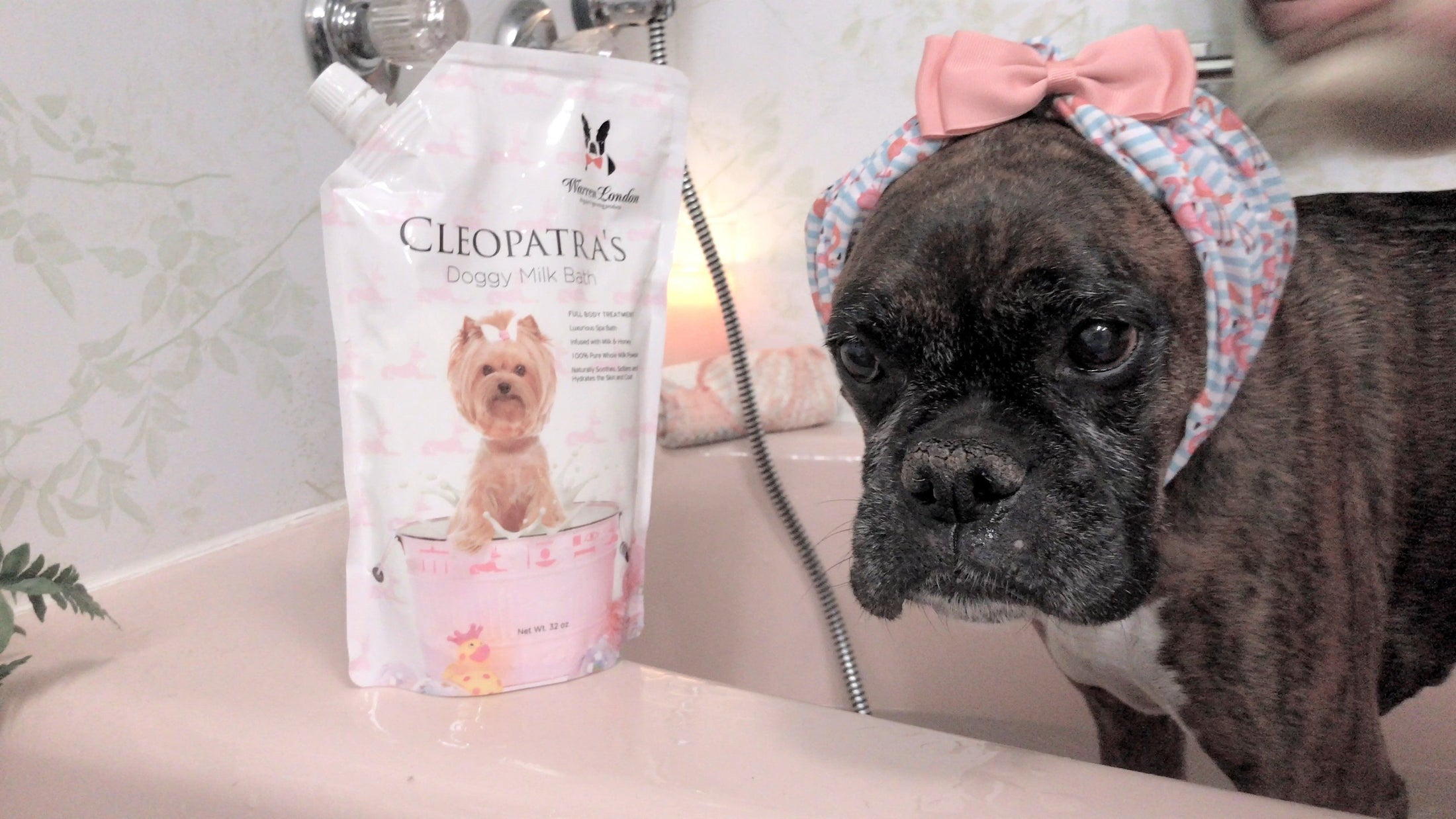 Cleopatra's Doggy Milk Bath - Southlake Paws