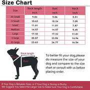 Green Bone Dog Sweater