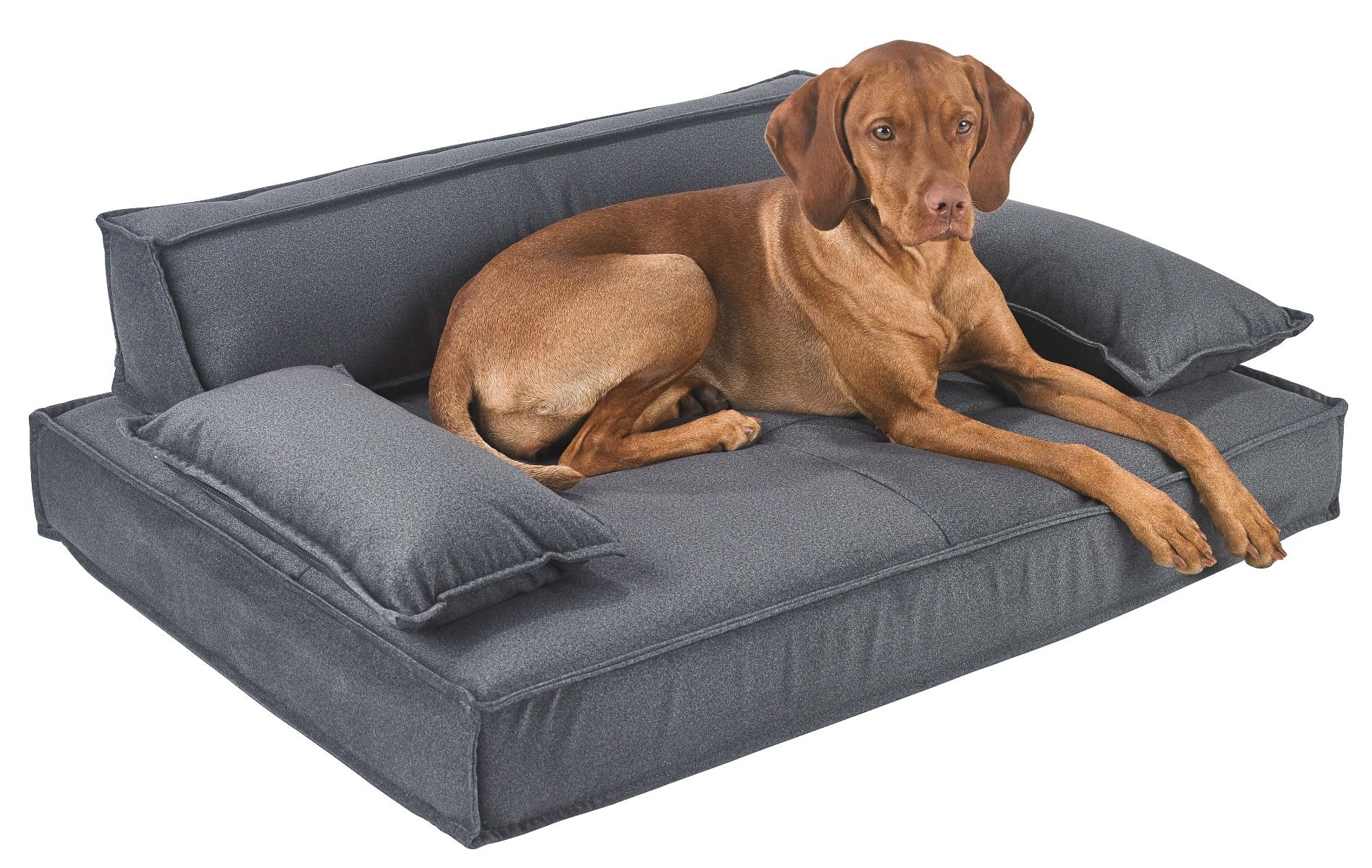 Scandinave Pet Sofa Flint