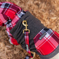 Load image into Gallery viewer, Frenchie Dog Hoodie - Scarlet Plaid
