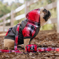 Load image into Gallery viewer, Frenchie Dog Hoodie - Scarlet Plaid
