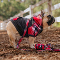 Load image into Gallery viewer, Frenchie Dog Hoodie - Scarlet Plaid
