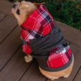 Load image into Gallery viewer, Frenchie Dog Hoodie - Scarlet Plaid
