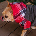 Load image into Gallery viewer, Frenchie Dog Hoodie - Scarlet Plaid
