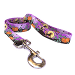Scary Night Dog Leash