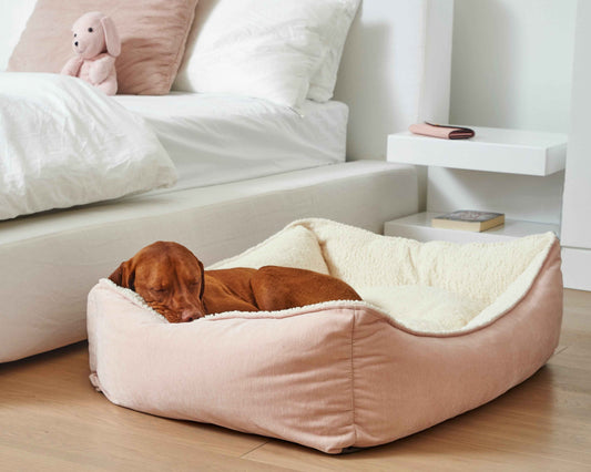 Bowsers Scoop Bolster Dog Bed in harper-stripe