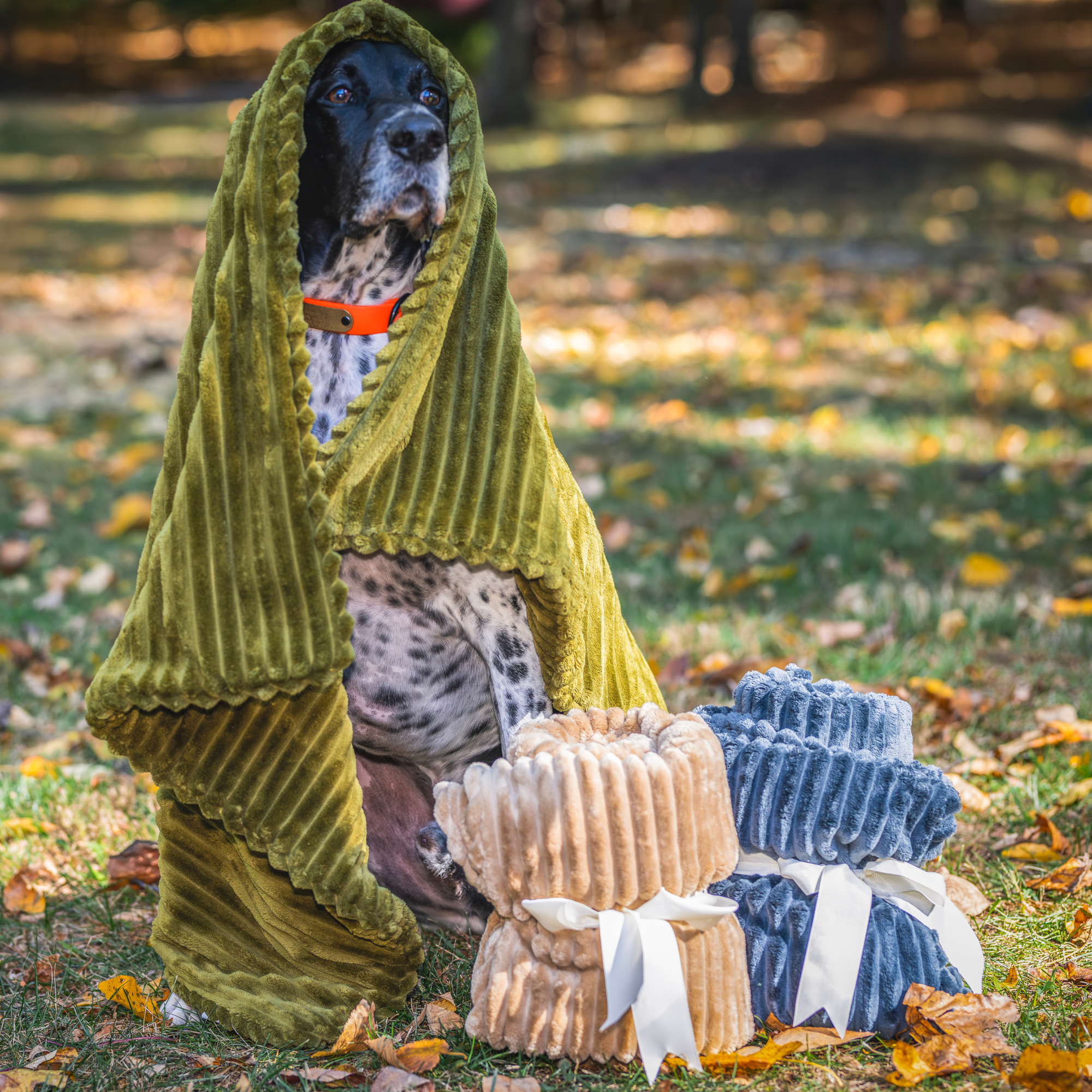 Scout Blankie Double-Sided Plush Dog Blanket - image 14