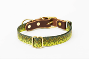 Freshwater Dog Collars 