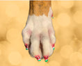 Load image into Gallery viewer, Pawdicure Polish Pens - Choose From 13 Colors! - Dog Nail Polish
