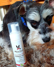 Cucumber Melon Foaming Facial For Dogs 