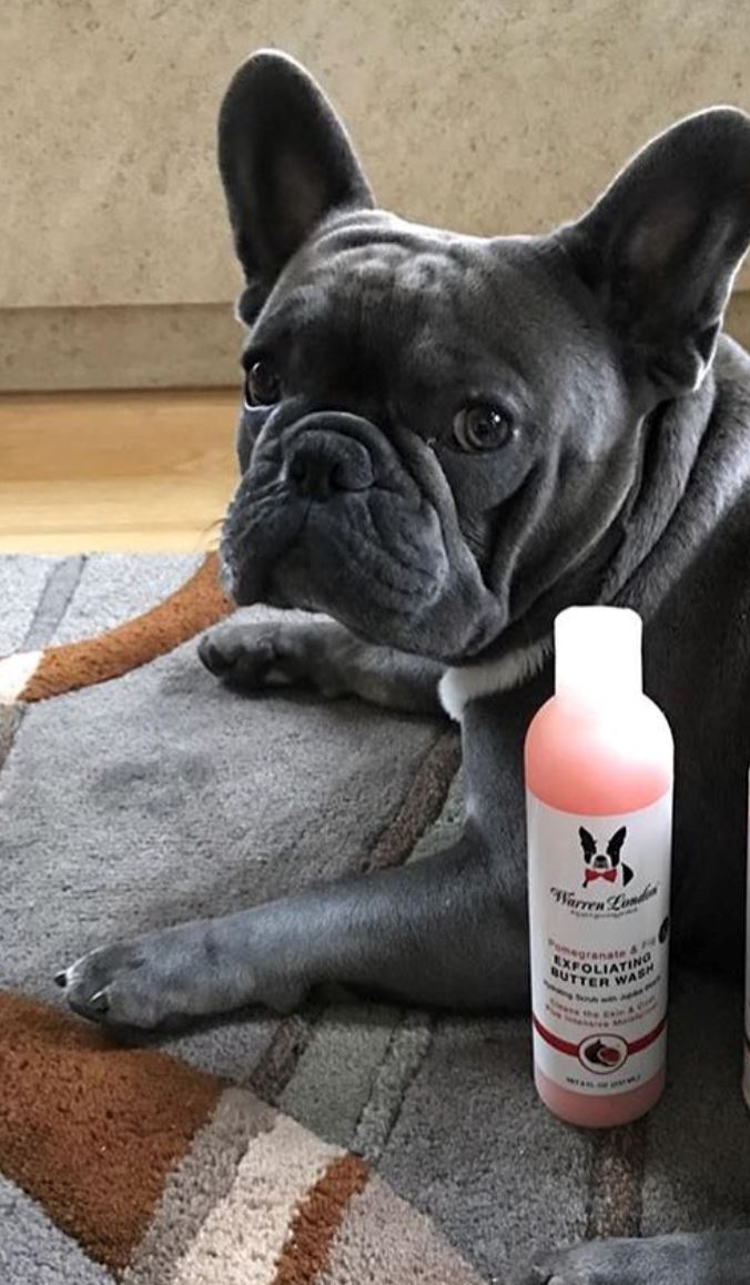 Exfoliating Butter Wash Dog Shampoo Gallons - With Natural Jojoba Beads