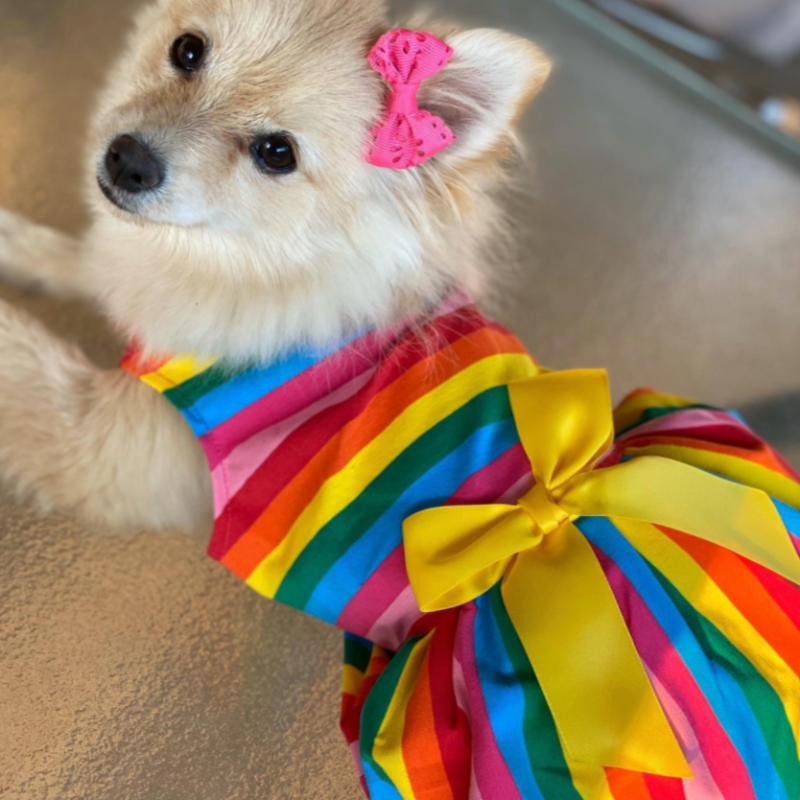 Rainbow Dog Party Dress - Southlake Paws