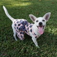 Load image into Gallery viewer, Gray Polka Dot Party Dress - Southlake Paws
