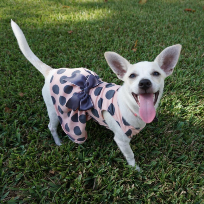 Gray Polka Dot Party Dress - Southlake Paws