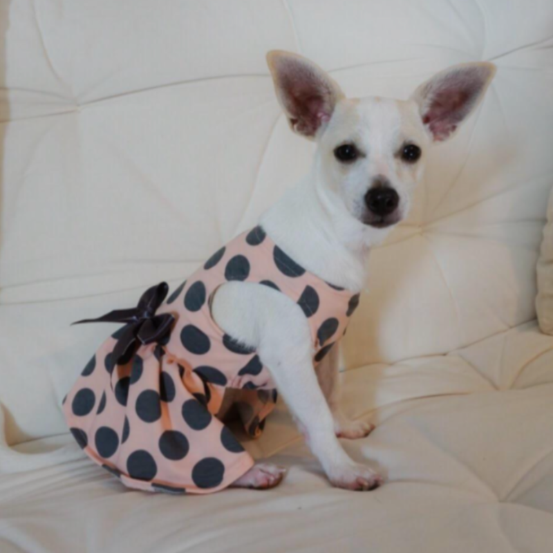 Gray Polka Dot Party Dress - Southlake Paws