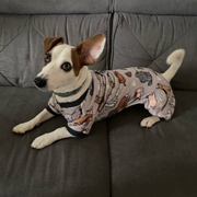 Gray Doggy Play Onesie Dog PJs