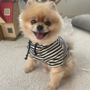 Striped Sailor Dog Hoodie