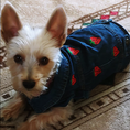 Load image into Gallery viewer, Sweet Strawberry Denim Jacket - Southlake Paws
