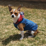 Red Plaid Hoodie Denim Dog Jacket
