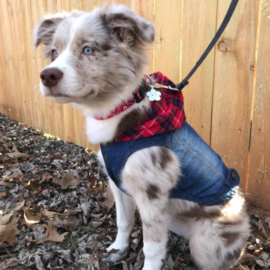 Red Plaid Hoodie Denim Dog Jacket - Southlake Paws
