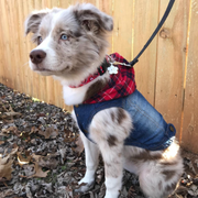 Red Plaid Hoodie Denim Dog Jacket