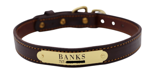 Stitched Dog Collar - image 3