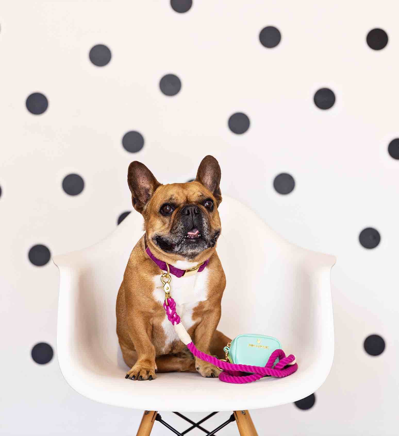 Bree Rope Dog Leash