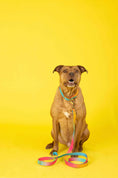Load image into Gallery viewer, Pippa All Weather Dog Leash
