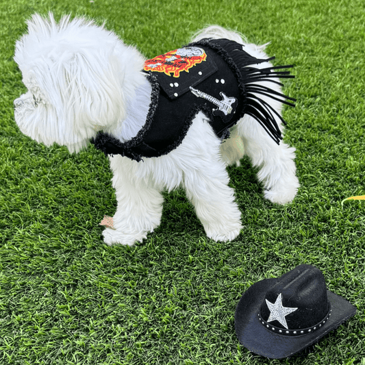 Johnny Cash Harness